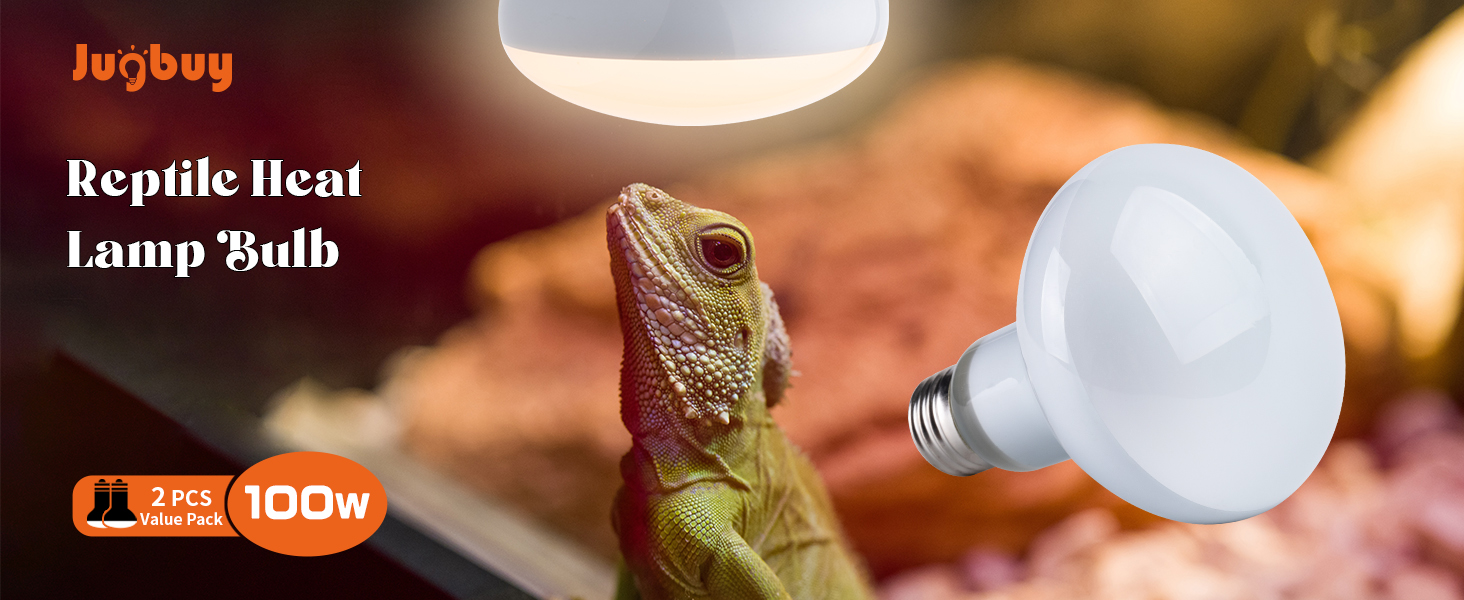 A+1.1 reptile light bulb