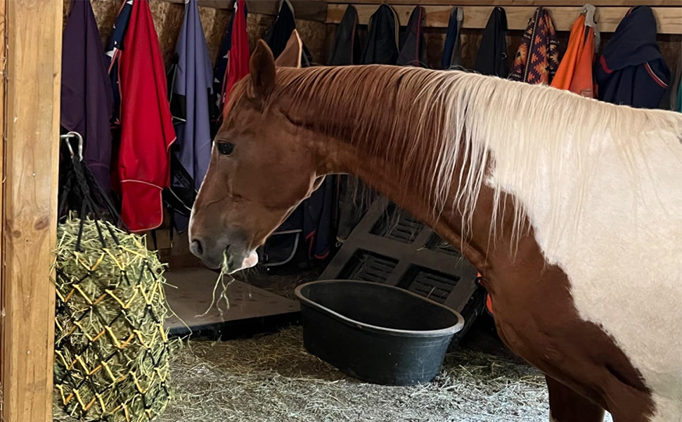 2PCS Slow Feed Hay Net for Horses Goat Sheep,Hanging Hay Bag Feeder