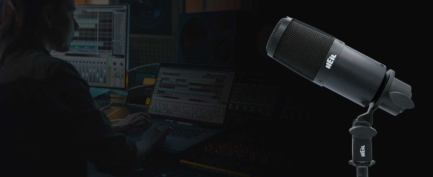 Heil PR 30 Dynamic XLR-Microphone for Video Podcast, Live Sound, Recording