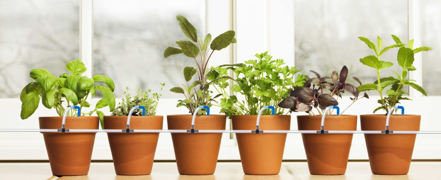 Automatic Plant Waterer