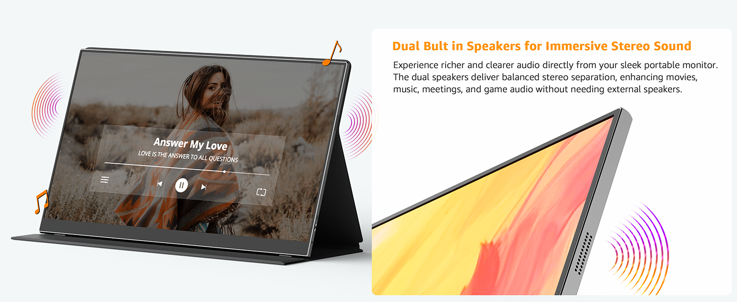 Portable monitor
