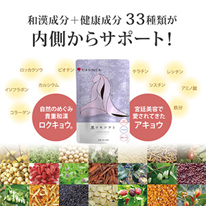 【最終値下げ！1/26削除！】粉末タイプ　アセラグ茶3本セット 最終値下げ！1/26削除！】粉末タイプ アセラグ茶3本セット