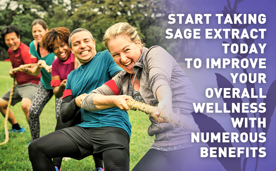 Sage Extract Natural Dried Sage Supplement Sage Herb