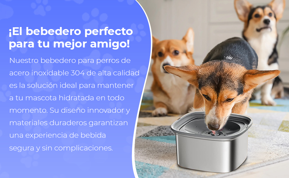 un perro bebiendo agua de un cuenco para perros.