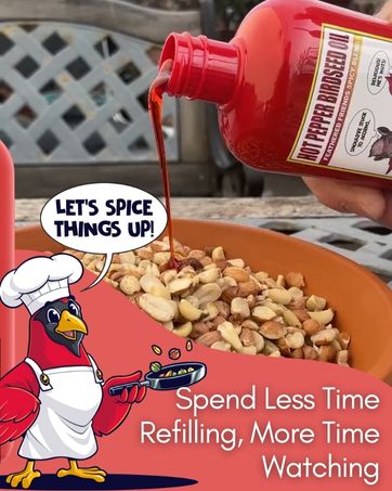 no squirrel bird seed bird seed that squirrels won't eat