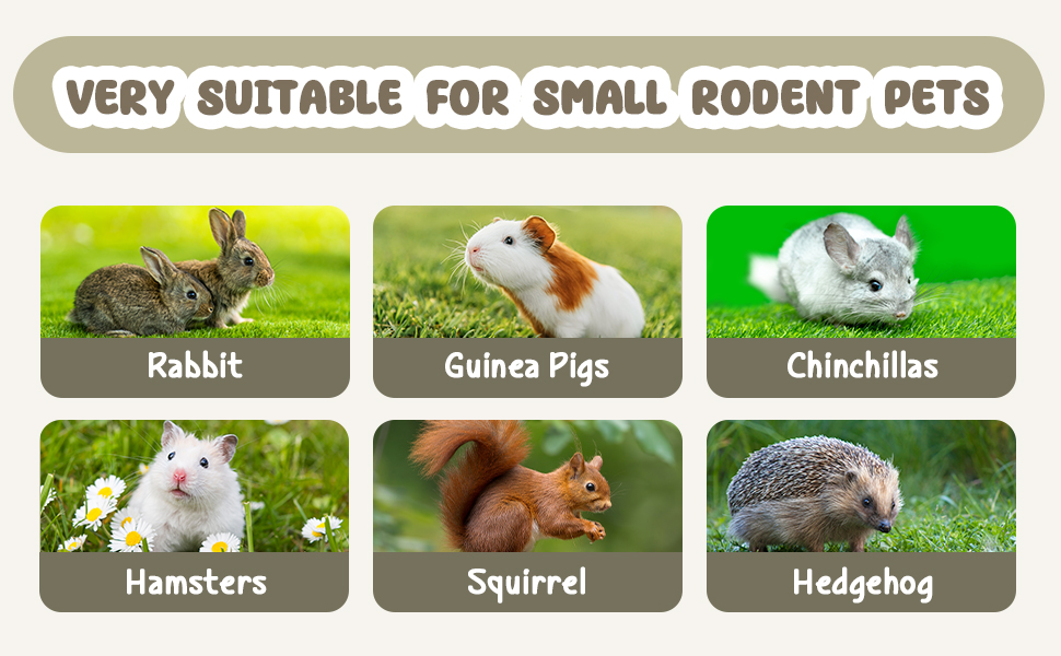 DBLPMF Rabbit Chew Toys,Natural Seagrass Hanging Basket with Sweet Bamboo,Timothy