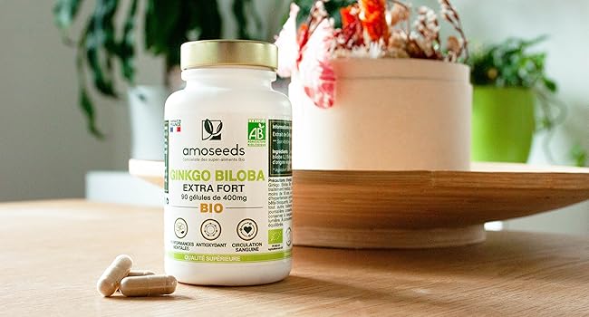 ginkgo biloba gélules ginkgo
