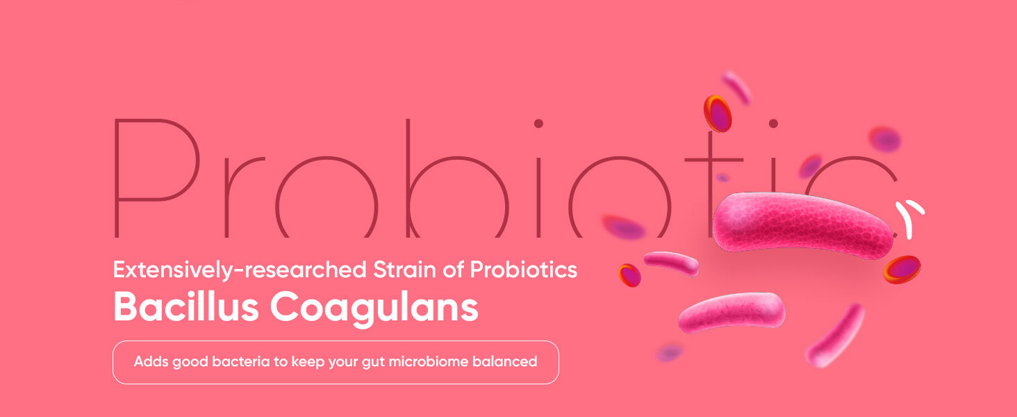 Probiotic Gummies with Prebiotic - 90 Tasty & Vegan Gummies - 2000 Million CFU