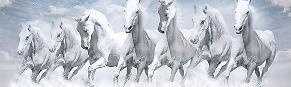 7 horse