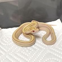 Small manufacture image 8