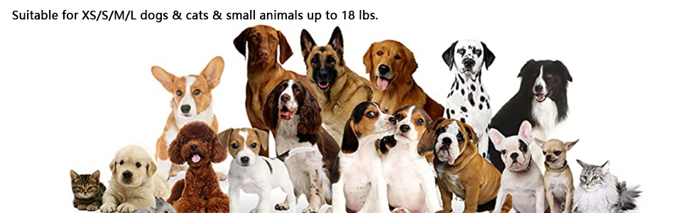 Double Headed Retractable Dog Lead