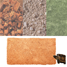 Coconut fiber is healthier than other substrate