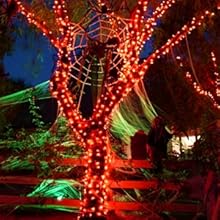 orange led lights