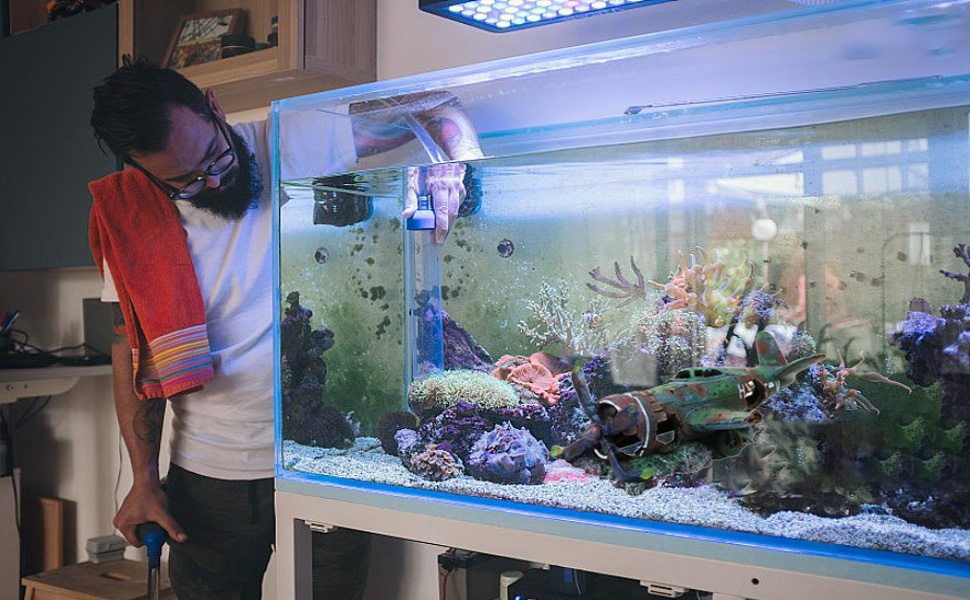 Großes rechteckiges Aquarium gefüllt mit Wasser, bunten Fischen und dekorativen Elementen. Oben auf dem Tank ist ein Filtersystem sichtbar.