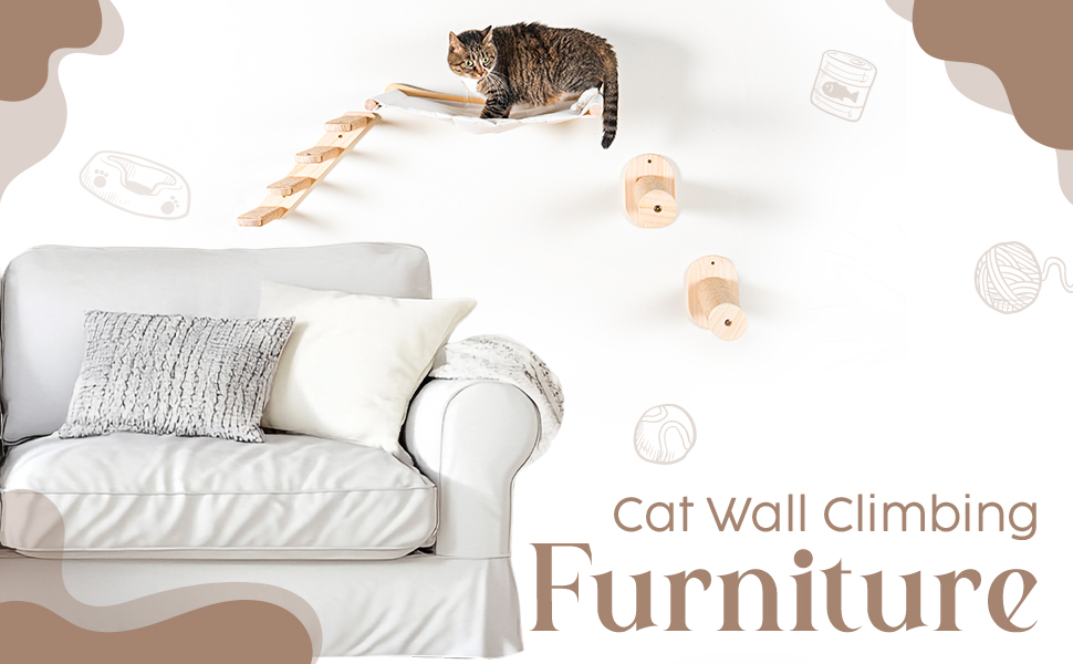cat climbing on product displayed on wall