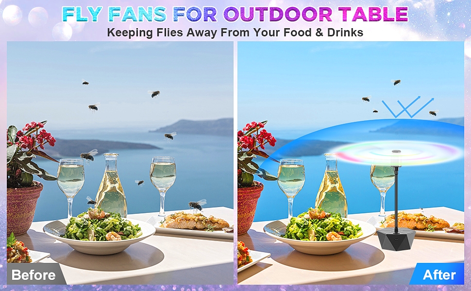 chemotex Fly Fans for Tables Rechargeable Fly Fans Keep