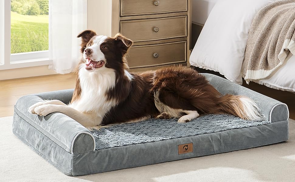 dog bed