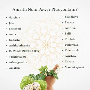 Power Plus Ingredients