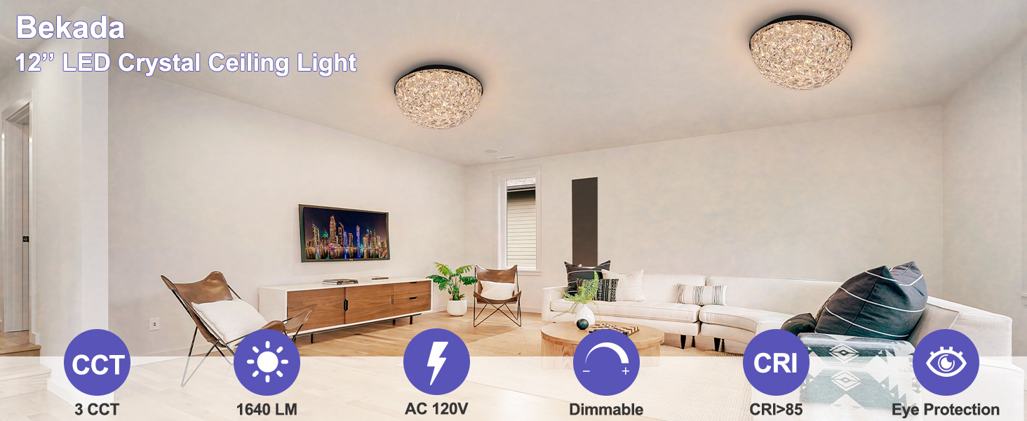 LED ceiling light