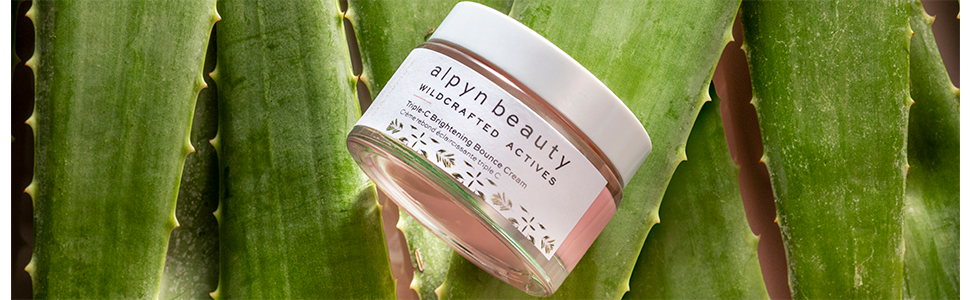 alpyn beauty bounce cream on aloe plant background