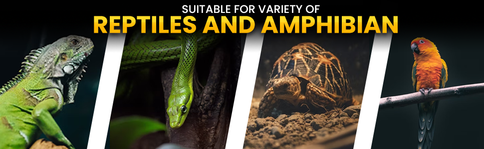 Suitable for variety of Reptiles and Amphibians