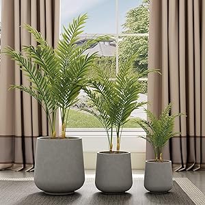 large plant pot