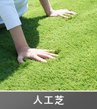 Amazon | [NITTO SEKKO] 高級 人工芝 ターフグランデ ふかふか 分厚い