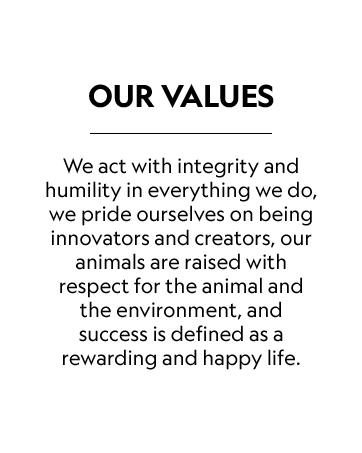 our values