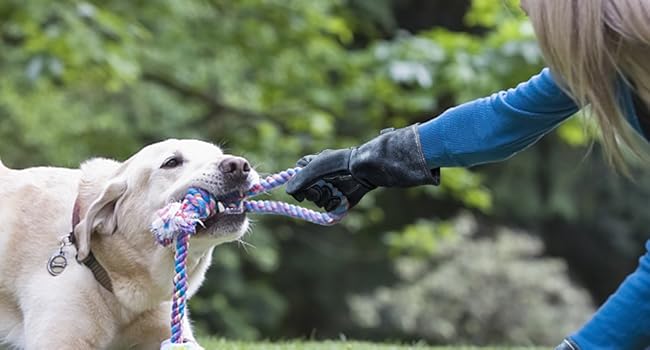 Large manufacture image 6