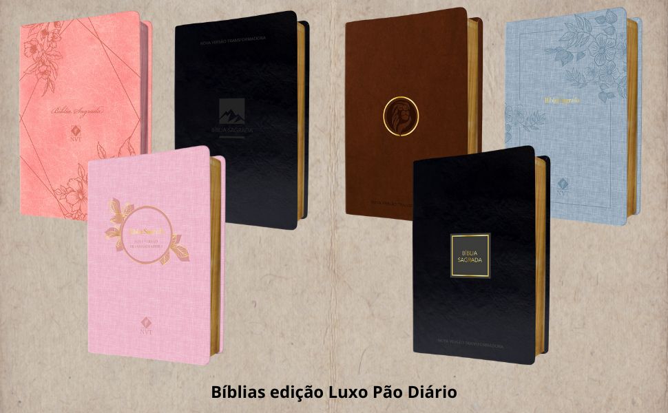 Bíblias luxo