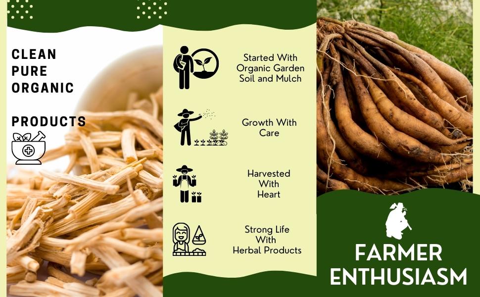 Organic Shatavari Root, Bacopa Monnieri, Ashwagandha Root, Vitex Berry, Fenugreek, Black Pepper
