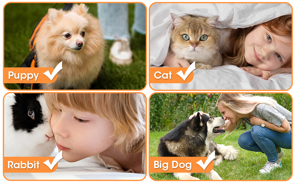 pet paw print impression kit