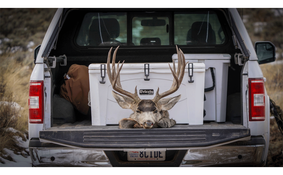 GrizzlyCoolers Buy Grizzly G100 100 Quart Cooler Online India Ubuy