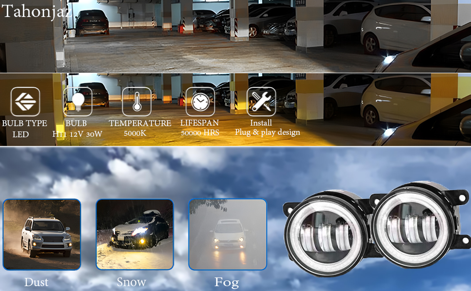 Fog Light