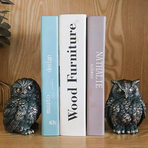 decor for bookshelf