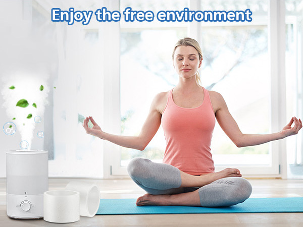 water filter compatible with levoit humidifier