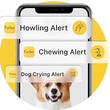 Feature 1: Dog Activity Alerts