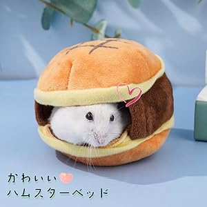 Amazon | moin moin ハムスター 鳥 インコ リス フクロモモンガ