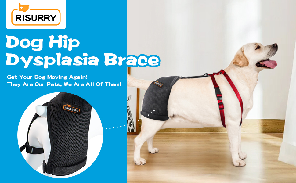 RISURRY Dog Hip Support Brace Support Hip Dysplasia and