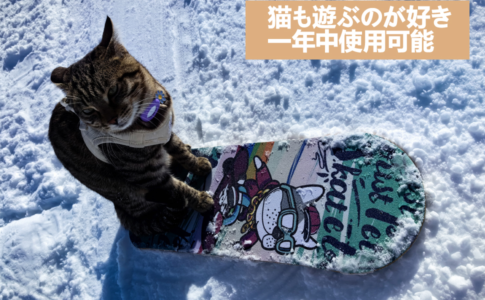 Amazon.co.jp: 犬用スケートボード、スケートボード、猫用