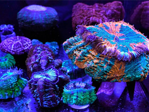 Small manufacture image 4