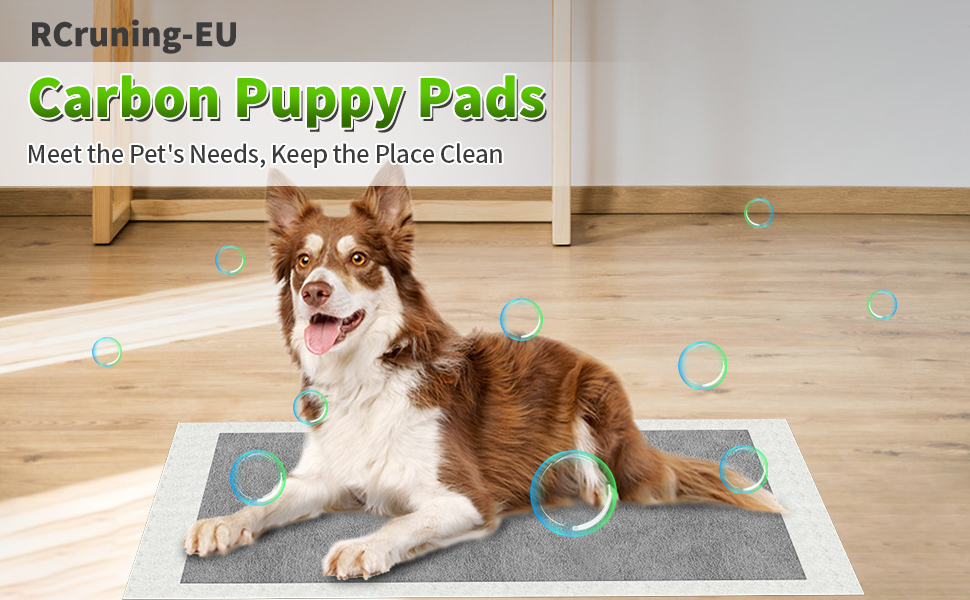 Carbon Large Puppy Training Pads Pack of 25, Super Absorbent Dog Pads, Odour Control Dog Pee Pad