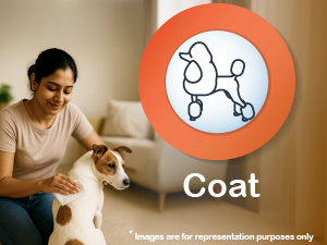 pet wipes
