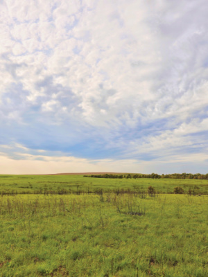 beginner hikes, moderate hikes, difficult hikes, hikes for families, dog friendly hikes