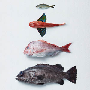 Small manufacture image 4