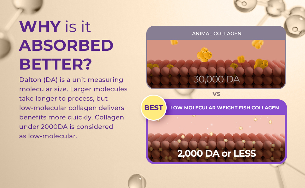 Large manufacture image 6