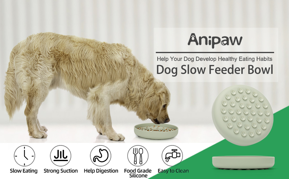 slow feeder dog bowl