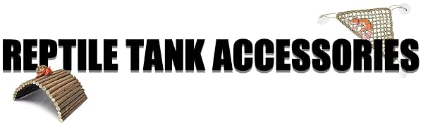 gecko tank accessories
