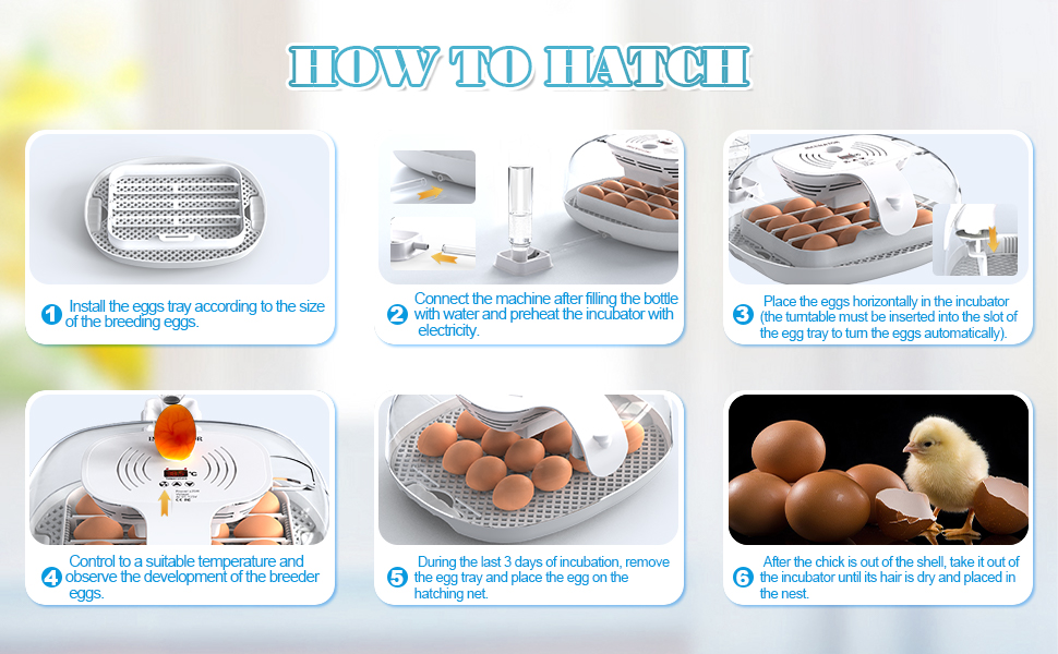 Chicken Egg Incubator, 16 Eggs Incubators for Hatching Eggs
