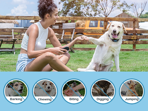 【Shiho】Ameri　RETURN COLLAR ALL IN ONE Amazon.com : JIM HODGES DOG TRAINING Martingale Collar for